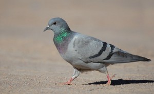 ????????????????????????????????????