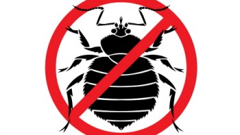 Permalink to: Infestanti